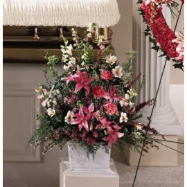 The Loving Sympathy Arrangement
